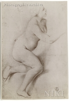Female Nude Figure