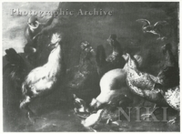 Birds in a Farmyard, including a Turkey, a Guinea Fowl, a Cockerel and Chickens, with Fledgelings by a Bowl in the Foreground