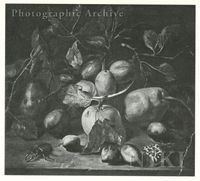 Still Life of Apples, Plums and Pears on a Ledge, with Insects nearby