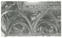 Ceiling of Palazzo Spinola Pignone : [Detail]