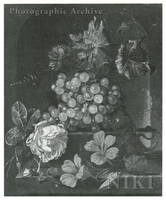 Still Life of Fruit and Flowers Including a Rose, Nasturtium, Grapes and Figs Resting on a Plinth Set in a Niche