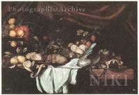 Still Life with Fruit and Shell