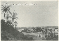 Brazilian Rural Landscape with Houses