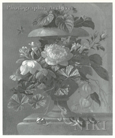 Poppies and Other Flowers in an Urn, on a Stone Ledge