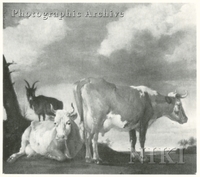 Group of Two Cows and a Goat in a Meadow