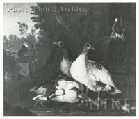 Ducks and Pigeons in a Wooded River Landscape