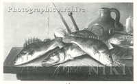 Still Life of Fish