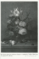 Flowers in a Vase with Shells and Insects