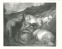 Pastoral Landscape with Sheep and Goat