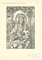 Virgin and Child in Vineyard