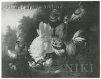 Farmyard Scene with Poultry and Pigeons