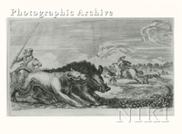 Various Hunted Animals, a Hunted Boar