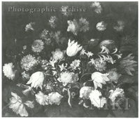 Still Life of Flowers