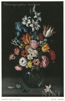Flowers in a Vase with Shells and a Butterfly