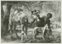 African Boy Holding a Dromedary and a Dog