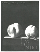 Still Life with two Peaches on a Stone Ledge