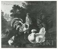 Chicken and Pigeons in a Wooded River Landscape