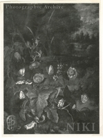 Woodland Still Life with Flowers, a Snake and Butterflies