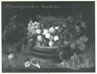 Basket of Peaches, Plums and Grapes, with Figs, Cherries and Plums on a Ledge