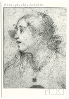 Study of a Female Head