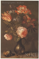 Flowers in a Glass Vase with a Shell, a Lizard and a Grasshopper