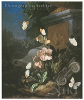 Still Life of Anemones, Thistles, Butterflies, Snails and Architectural Fragments in a Moonlight Landscape