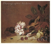 Still Life with Fruit, a Flower and a Fly
