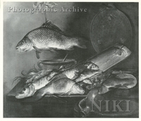 Still Life of Freshwater Fish