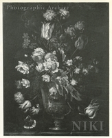 Still Life of Flowers