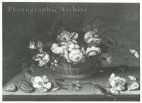 Still Life of Tulips, Roses and Other Flowers in a Wicker Basket with Shells, a Lizard and Butterflies on a Stone Ledge