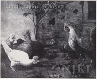 Farmyard Fowl, Chickens and Ducklings Feeding beside a Jewel Trinket Lying in the Foreground