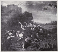 Dogs Attacking a Stag