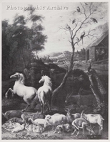 Animals Leaving Noah's Ark