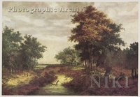 Wooded Landscape with a Cottage