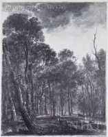Forest with Three Deer