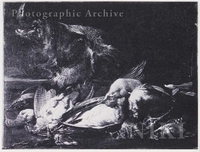 Hunting Still Life with Dead Birds and a Boar's Head