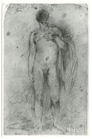 Standing Male Nude, with Drapery Round His Left Shoulder