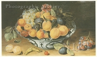 Still Life of Apricots, Grapes, Plums and a Carnation in a Blue and White Chinese Bowl with Other Fruits on a Table