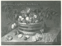 Basket of Plums and Grapes on a Ledge