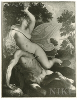 Hercules Shoots Nessus, the Centaur, who Attempts to Carry off Deianira