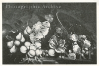 Still Life with Fruit and Flowers