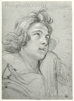 Head of a Young Man, Study